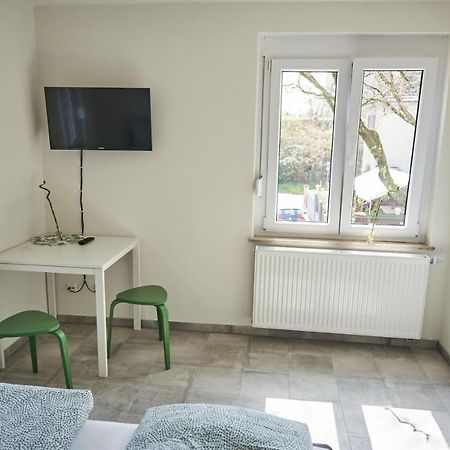 Greenhome Loerrach -Ihre Unterkunft Im 3-Laendereck- Esterno foto